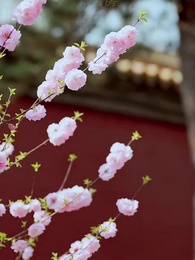 手握日月摘星辰 - Episode 7