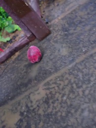 [Lồng tiếng]Ước Hẹn Chốn Nhân Gian - Episode 41