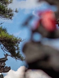 十裏長街跪月光 - Episode 6