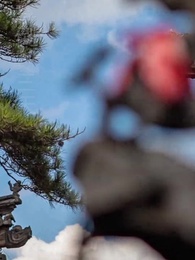 十裏長街跪月光 - Episode 10