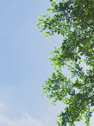 十裏長街跪月光 - Episode 8