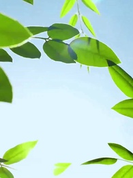 58화 - 닥터의 길: 험난한 여정