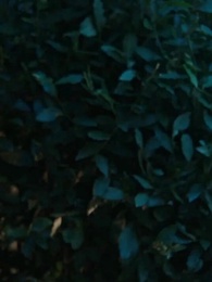 [مدبلج]حياة ثانية، زوجة الإله - Episode 26