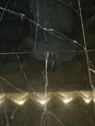 第15集 - 恩義無雙