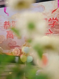 第1集 - 媽媽，請別這樣愛我