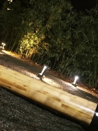 第46集 - 少年出拳天下驚