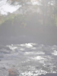 Tập 1 - Cuộc Hôn Nhân Chớp Nhoáng Của Thanh Mai Trúc Mã