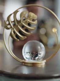 Co-Living Lessons from the Bankrupt Boss - Episode 65