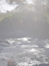 Boda Relámpago, Amor Verdadero - Episode 1