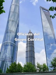 Adiós al amor que la destruyó - Episode 8