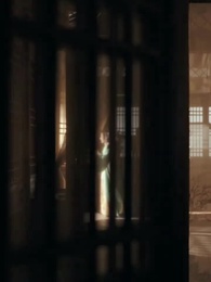 9화 - 낙화: 복수의 꽃잎