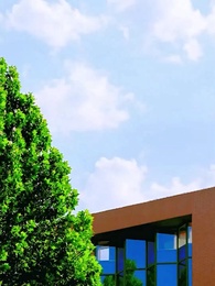 Episodio 17 - Volar contra el viento