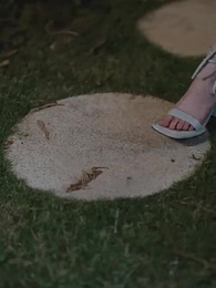 第43集 - 天降玄孫,龍鳳呈祥