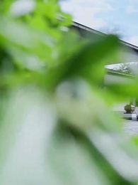 ตอนที่ 28 - ฉิน เอี้ยนทวงคืนเกียรติ