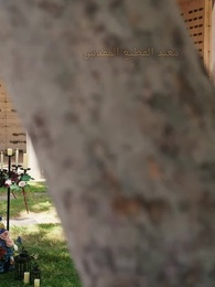 الحلقة 3 - [مدبلج]اخترت المستذئب المشّرد ليكون زوجي
