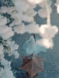 Love's Flight, Palace's Cage - Episode 1