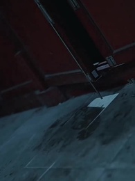 Love's Flight, Palace's Cage - Episode 32