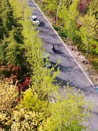 第49話 - [吹替]99回目の別れ