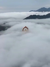 Episode 1 - My Angel Wife Won't Stop Chasing Me