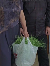 Bölüm 24 - Yalanların Bedeli