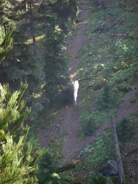 ไลแคนไร้บ้าน × คู่ชีวิต - Episode 1