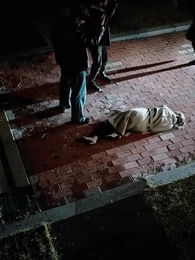 تسمع صوت قلبك - Episode 25