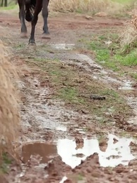 Jogo Perigoso no Palácio - Episode 53