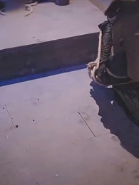 Episode 29 - [Dubbing]Cinta Abadi