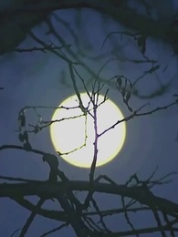 Episode 34 - [Dubbing]Cinta Abadi