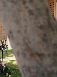 ไลแคนไร้บ้าน × คู่ชีวิต - Episode 3