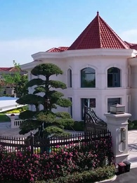 لعبة القدر: سجينة الأمس، ملكة اليوم - Episode 55