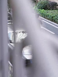 Tập 18 - Bản Tình Ca Sau Chấn Song