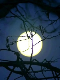 Episodio 34 - Un Amore  Oltre i Secoli