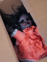 Ombre sotto la Luce - Episode 65