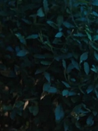 Возвращение: Жена мафиози - Episode 26