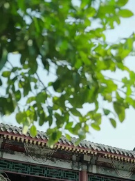 Tình Yêu Phai Màu - Episode 39