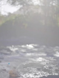 第1集 - 閃婚小青梅被全家團寵