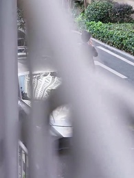 出獄後，她成了封少心尖寵 - Episode 18