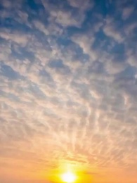 臥虎藏龍之楚飛傳 - Episode 47