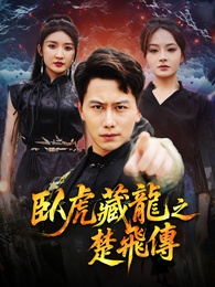 臥虎藏龍之楚飛傳