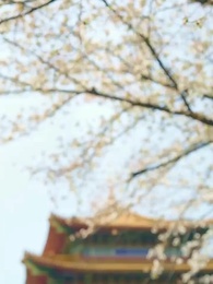 Tập 8 - Tình Yêu Phai Màu