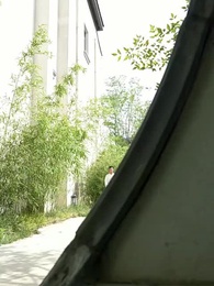 Серия 54 - Я — культиватор