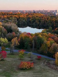 第1話 - ラスト・ハウリング～狼王の復讐～