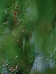 Episodio 40 - Un Amore  Oltre i Secoli