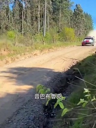 第48集 - 我,跑出租多年強一點點怎麽了