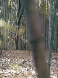 Episodio 57 - [Doblado]Mi Pobre Loco: Un Dios en la Tierra