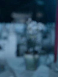 醫妃風華 - Episode 54