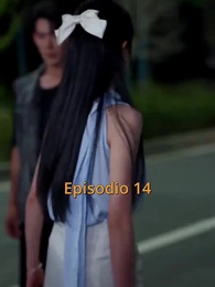 Episodio 14 - [Doblado] De Vuelta al Rumbo Correcto