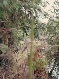 壓寨爹爹變王爺娘親你別暈 - Episode 7