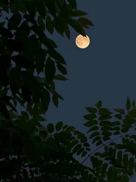 [مدبلج]العروس البديلة والقوة الخفية - Episode 24